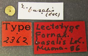 Media type: image;   Entomology 2362 Aspect: labels